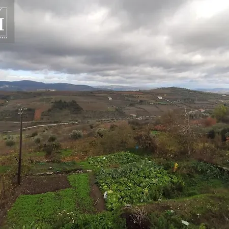 Alojamento Local Com Vista O Douro